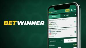 Betting on BetWinner Your Guide to Online Betting